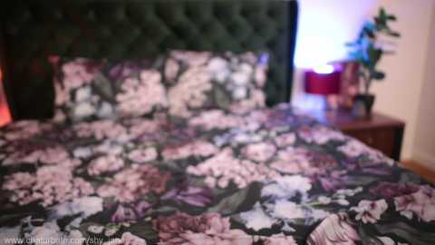 shy_jane @ chaturbate on 20231030