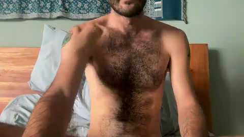 mistermister622 @ chaturbate on 20231031