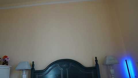 okssanna @ chaturbate on 20231031