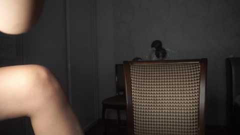 little_animal @ chaturbate on 20231101