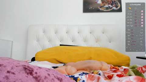 _timeless_paradox @ chaturbate on 20231102