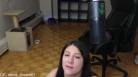 alexa_dream @ chaturbate on 20231102