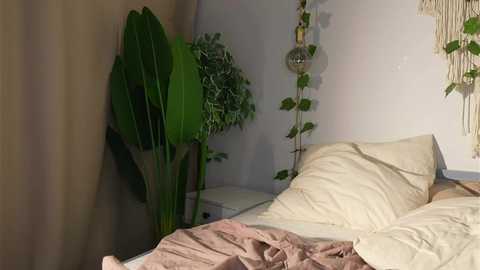 eli_sun @ chaturbate on 20231102