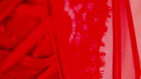 innocentprovenguilty @ chaturbate on 20231102