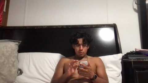 papabear2100