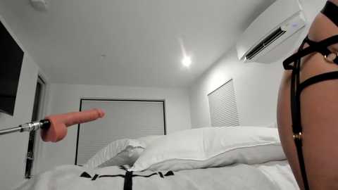 dannidaniels @ chaturbate on 20231104