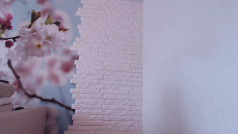 mazzanti_ @ chaturbate on 20231104