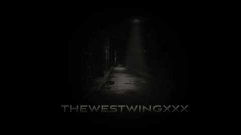 thewestwingxxx @ chaturbate on 20231104