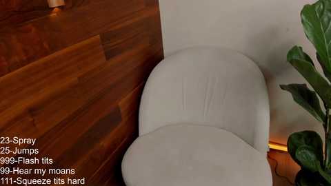 anne_hatway @ chaturbate on 20231105