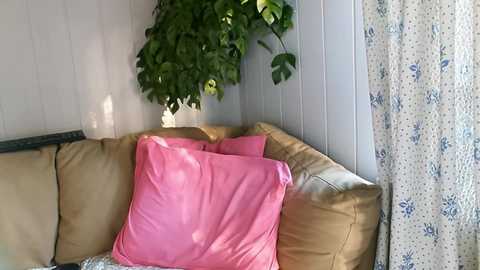 joannadea @ chaturbate on 20231105