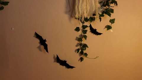 teresabriggs @ chaturbate on 20231105