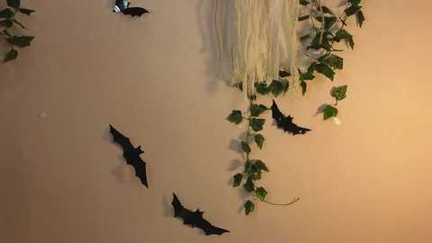 teresabriggs @ chaturbate on 20231105