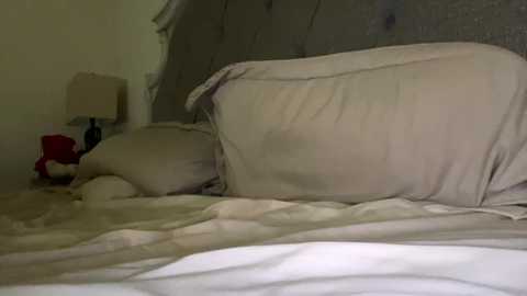 x_dreamgirl_x @ chaturbate on 20231105