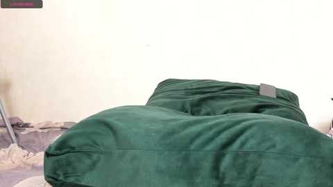 bohemianrhapsody1 @ chaturbate on 20231106