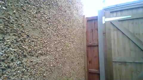 eatmypie69 @ chaturbate on 20231106