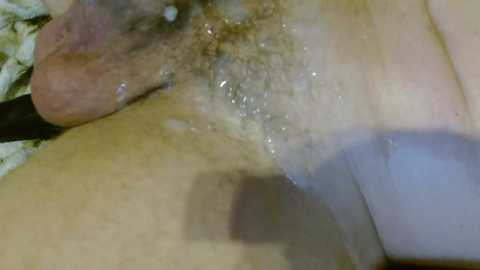 kylechat @ chaturbate on 20231106