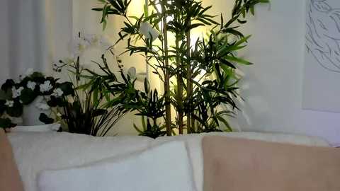 mbca @ chaturbate on 20231106