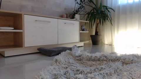 meryfoxxx @ chaturbate on 20231106