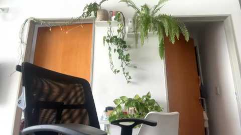 corporatebunny @ chaturbate on 20231108