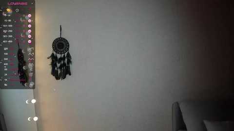 euphoria_life @ chaturbate on 20231108