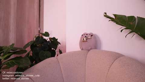 rebeccastonee @ chaturbate on 20231108