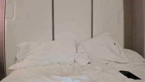 hardworkertn @ chaturbate on 20231110