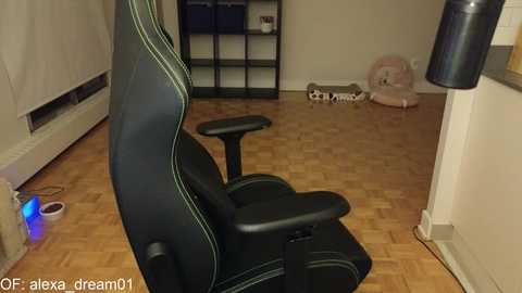 alexa_dream @ chaturbate on 20231111