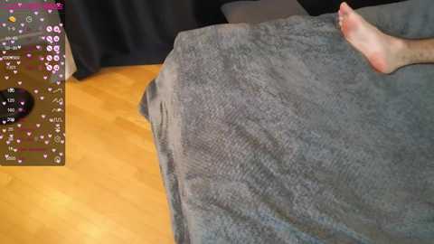 badwildhole @ chaturbate on 20231112