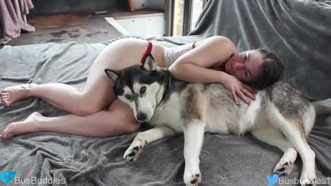 busbuddies @ chaturbate on 20231112