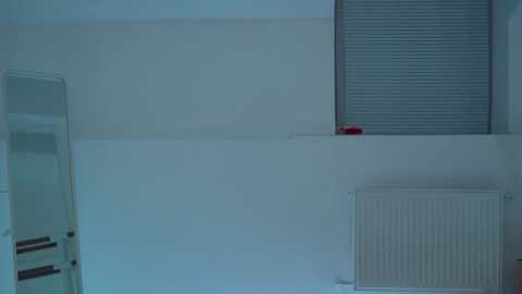 floret_joy @ chaturbate on 20231112