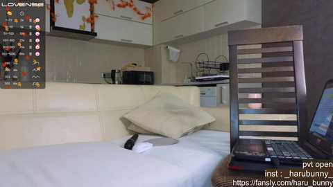 harubunny @ chaturbate on 20231112