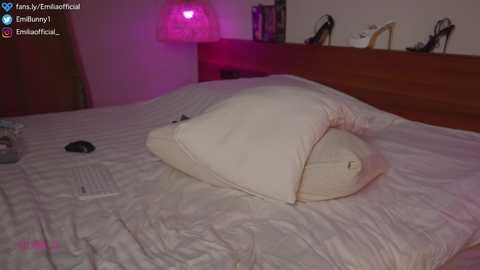 emilia98xxx @ chaturbate on 20231113