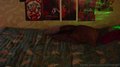 _northern_girl_ @ chaturbate on 20231115