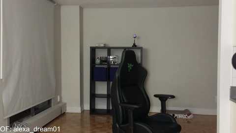 alexa_dream @ chaturbate on 20231116