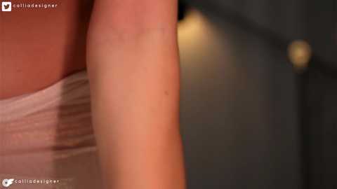 calliadesigner @ chaturbate on 20231119