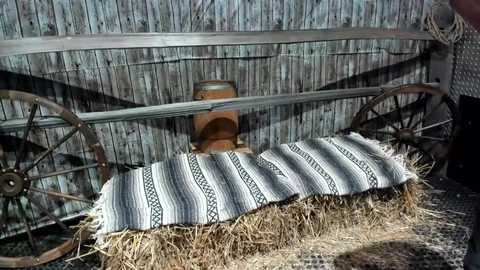 hardworkertn @ chaturbate on 20231119