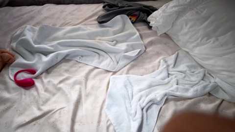 littlegreekflower @ chaturbate on 20231119