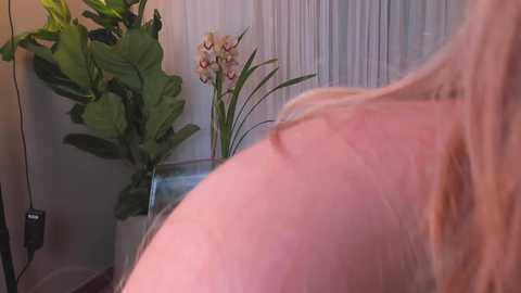 nancydiamonds1 @ chaturbate on 20231119