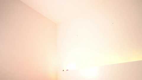 reei__ @ chaturbate on 20231119