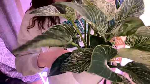 emersoncane @ chaturbate on 20231120