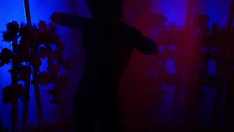 hannasthesia @ chaturbate on 20231120