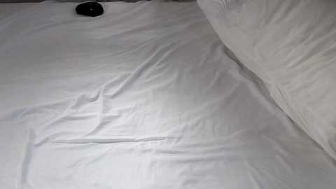 littlegreekflower @ chaturbate on 20231120