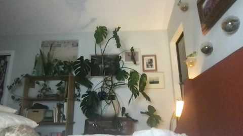 themarilynm @ chaturbate on 20231121