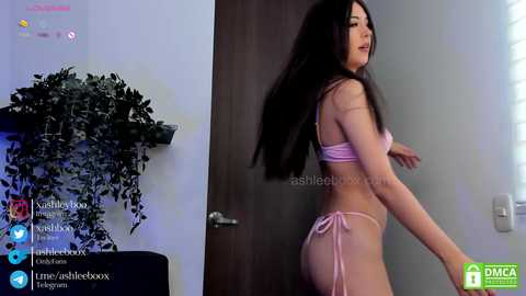 ashleycat9 @ chaturbate on 20231123