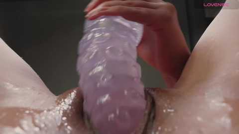 sigmasian @ chaturbate on 20231123