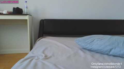 cbhotblonde @ chaturbate on 20231124