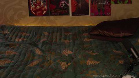 _northern_girl_ @ chaturbate on 20231125