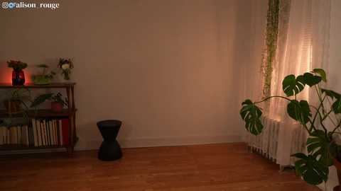 alisonrouge @ chaturbate on 20231125