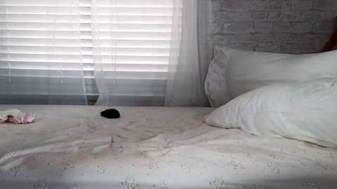 littlegreekflower @ chaturbate on 20231125