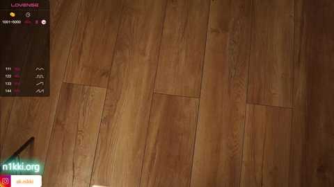 angels_kiss @ chaturbate on 20231126